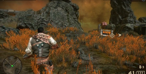 A curious set-up is present with regards to the game's use of alpha buffers, with some effects being rendered in lower resolution than others. Smoke and fire effects are obviously upscaled, while the foliage is not (top). The inclusion of camera and object motion blur delivers a cinematic feel to the presentation while enhancing the ferocity of the action.
