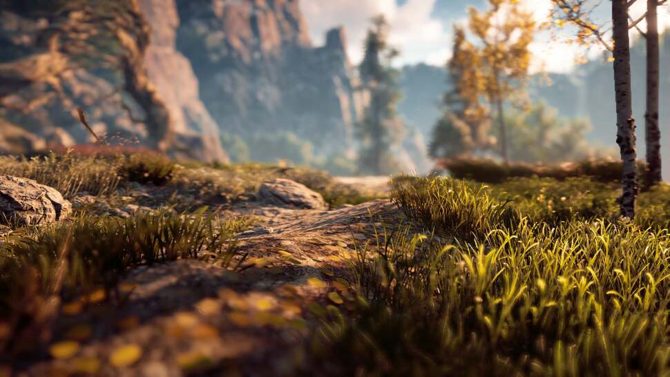 Horizon's post-process pipeline is beautiful. Here we're using photo mode to demonstrate the depth of field effect. Even with detail and effects ramped up in photo mode, the engine is still running at 30fps.