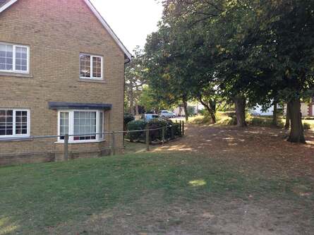 The 8-megapixel iSight camera on the iPhone produces some very good results for a smartphone. While a good quality point-and-shoot will still outperform it comfortably, the quality on offer here is likely to be more than good enough for most people.