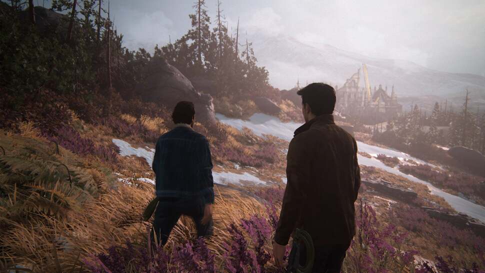 Anti-aliasing and depth of field combine to great effect to create some very clean open areas in the game. The implementation of wind physics to simulate grass movement enhances it further