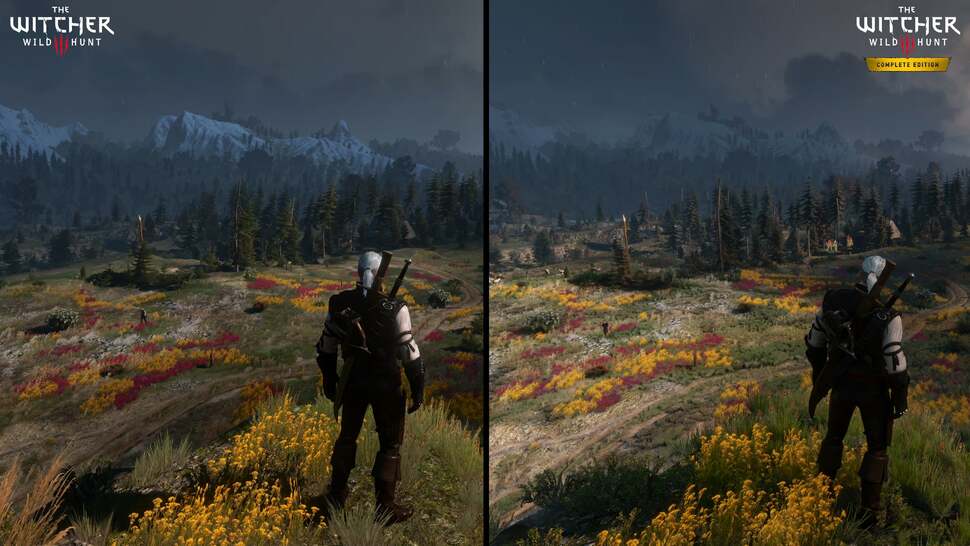 Another example of richer foliage that extends further into the distance