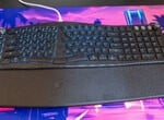 This Razer Keyboard Has Two Bs: Pro Type Ergo Review