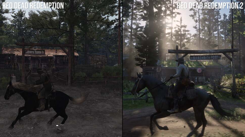 Manzanita Post, Tall trees