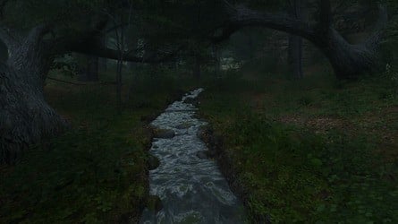 The game's shinier surfaces, like water and polished armour, are occasionally lit strangely or exhibit SSR artefacts.