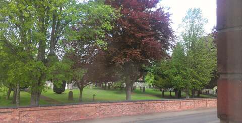 A selection of random shots taken using the HTC One S's 8-megapixel camera.