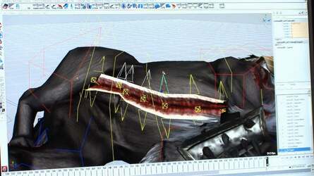 The tech art team bridges the gap between artists and coders. The 'zipper tech' tool on the left shows how they create animated wounds with belching guts, while the shot on the right shows a bespoke animation rig for the gorgon's tail.