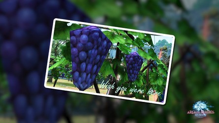 In terms of grape rendering, huge strides have been made between FF14 (left) and FF16 (right).