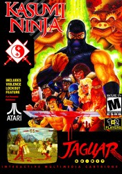 Kasumi Ninja Cover