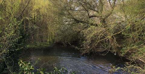 It's not the best low-light shooter - just like the iPhone 6S - but out and about, the SE produces some lovely pictures, marred only by the lack of image stabilisation.