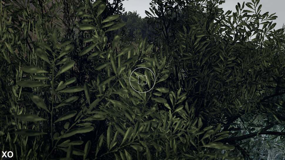 We checked out some of the trackside foliage during a rainstorm in both versions. In DriveClub, the leaves actually appear glossier and wet when rain is active while in Horizon 2, they appear no different than any other time. Of course, the open world nat