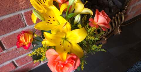 A selection of random shots taken using the HTC One S's 8-megapixel camera.