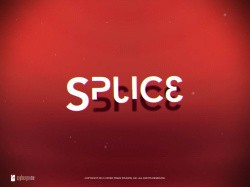 Splice Cover