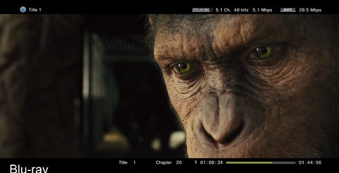 While 1080p resolution is seemingly lost on most of the video marketplace apps, it still appears to be present and correct on Zune HD rentals as these Rise of the Planet of the Apes shots demonstrate. However, the washed out video problem remains.