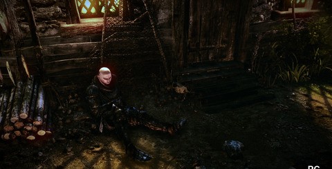 As you might expect from a top-end PC technology converted across to the nigh-on six-year-old Xbox 360, there are some compromises. Generally speaking, texture quality is lower (top), while shadow coverage isn't quite so extensive (bottom). The dragon shots also reveal that lower resolution alpha buffers are in play on the 360, which can result in more visible jaggies. Post-process anti-aliasing is also a cut-above on PC.