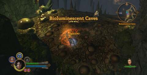 The ability to run the PC version at higher resolutions really lets players get the most out of Obsidian's detailed environments and the smoother frame-rate is a night-and-day difference to the console releases of the game.