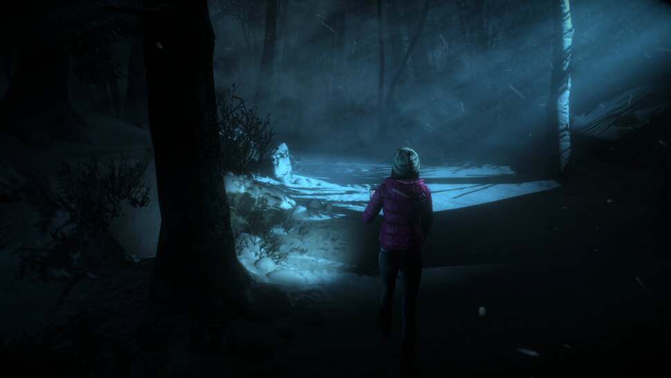 Outdoor environments see an effective use of light-shafts streaming through branches, while clothes react to light based on their material properties.