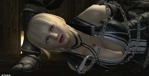 You can't ignore the huge impact the different lighting schemes have on each version of Ninja Gaiden 2. The Sigma edition almost looks like a brand new game in places.