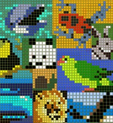 Animal Color Cross Cover