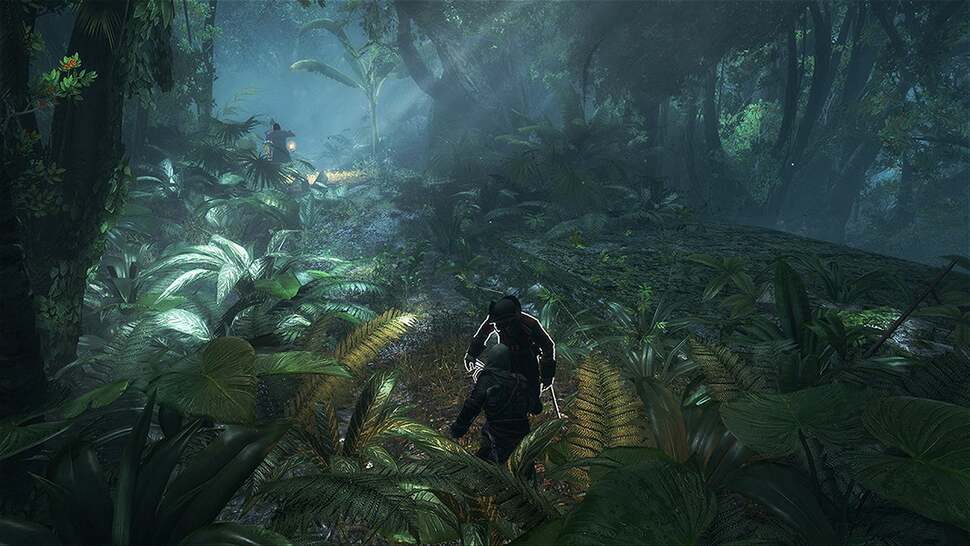 Assassin's Creed 4: Black Flag uses a more precise physics model for jungle vegetation on PS4 and Xbox One, while current-gen plants are set to remain more static in nature