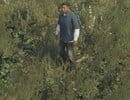 GTA 5's next-gen grass compared