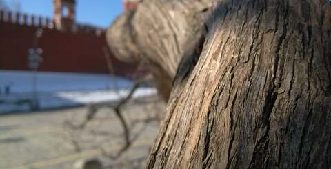 Xiaomi has taken an off-the-shelf camera part, fitted some decent optics and then extracted a vast array of functionality that even the best high-end smartphones simply don't have.