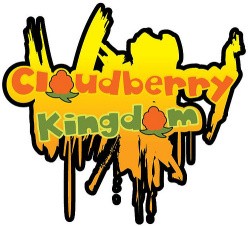 Cloudberry Kingdom Cover