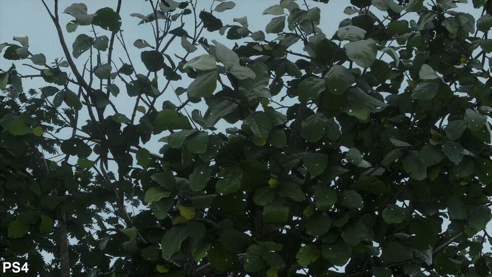 We checked out some of the trackside foliage during a rainstorm in both versions. In DriveClub, the leaves actually appear glossier and wet when rain is active while in Horizon 2, they appear no different than any other time. Of course, the open world nat