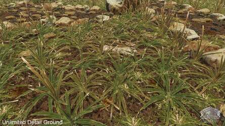 A Euclideon supplied comparison of ground detail using a conventional polygon renderer compared with the same effect seen in Unlimited Detail.