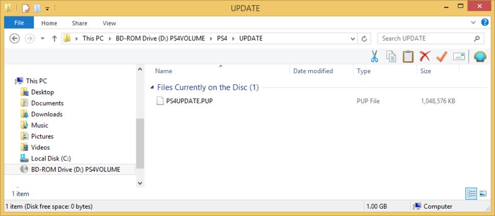 For users not connected to the internet, the UPDATE folder contains a firmware upgrade for the PS4 to ensure the game runs with the right system software installed