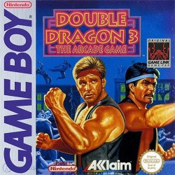 Double Dragon 3: The Arcade Game Cover