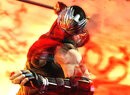 Ninja Gaiden 3