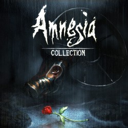 Amnesia: Collection Cover