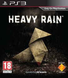 Heavy Rain Cover