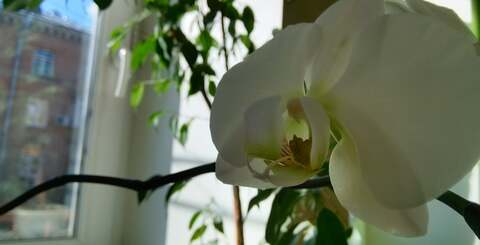 Xiaomi has taken an off-the-shelf camera part, fitted some decent optics and then extracted a vast array of functionality that even the best high-end smartphones simply don't have.