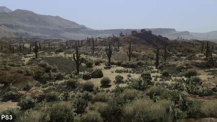 Both games are capable of rendering some lovely, detailed, open world environments with superb draw distances, but in terms of the level-of-detail settings 360 has the advantage.