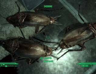 Speculars are back. In certain places, at least. This polished effect was incorporated into the PS3 and PC versions of the game, but only now, post-patch, is it seen in the 360 code...