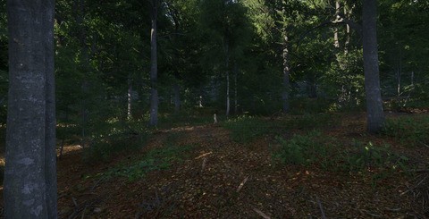 The game's natural environments are worthy of praise, with beautifully rendered forests, meadows and streams.