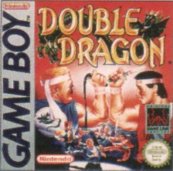 Double Dragon Cover