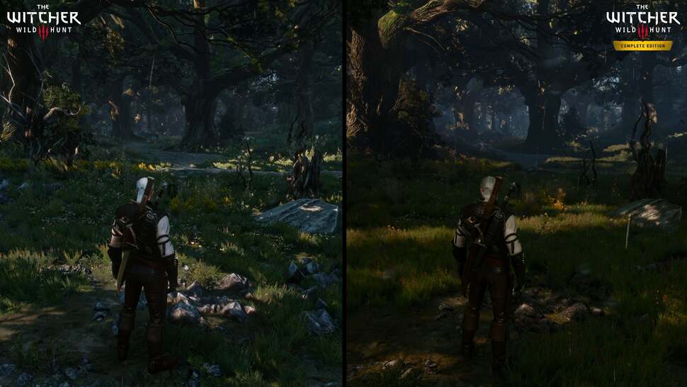 Ray traced global illumination dramatically changes how countryside scenes and forests present