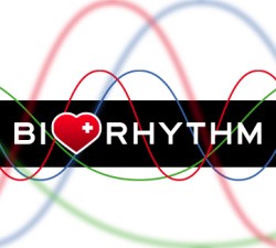Biorhythm Cover