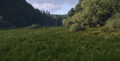 The game's natural environments are worthy of praise, with beautifully rendered forests, meadows and streams.