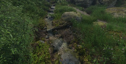 The game's natural environments are worthy of praise, with beautifully rendered forests, meadows and streams.