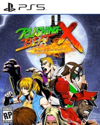 Rushing Beat X: Return of Brawl Brothers Cover