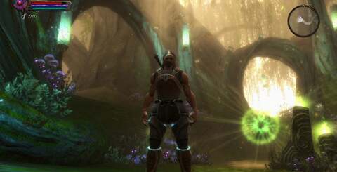 The ability to play Kingdoms of Amalur on PC at higher resolutions offers up the opportunity to see the intricate artwork at its best. In combination with 60FPS gameplay, the PC version represents a significant jump over the console builds.