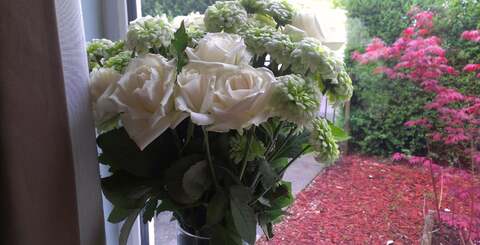 A selection of random shots taken using the HTC One S's 8-megapixel camera.