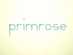 Primrose Cover