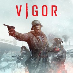 Vigor Cover