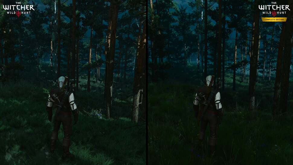 Ray traced global illumination dramatically changes how countryside scenes and forests present