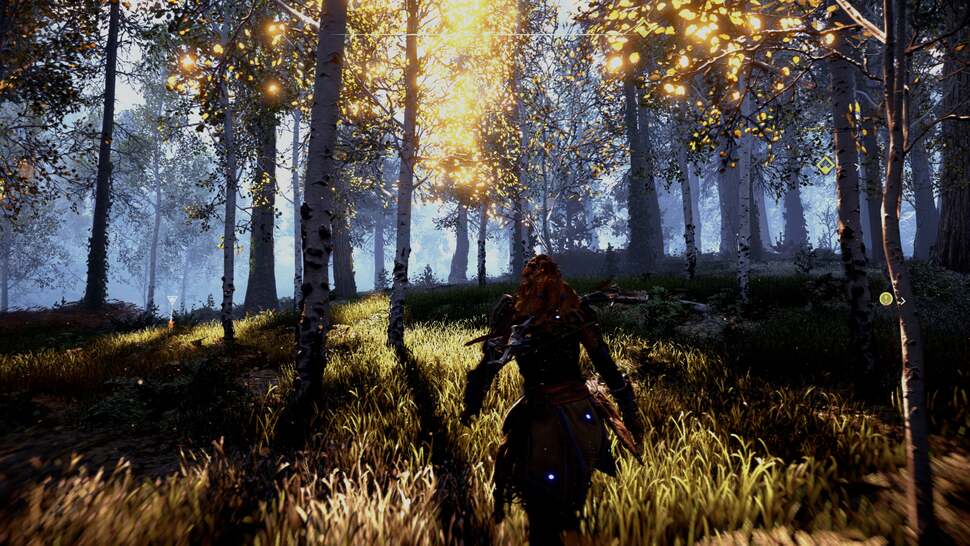 Sunlight plays off leaves while exploring forests creating an effect that works superbly when using HDR. The contrast between the bright leaves and distant light helps create one of the best HDR experiences we've seen to date