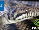 Report: Intel and Nvidia's "Suspected Collaboration" Set to Arrive as "Serpent Lake" CPUs with RTX graphics at CES 2028